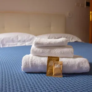 Hotel Oasi San Francesco, Rome